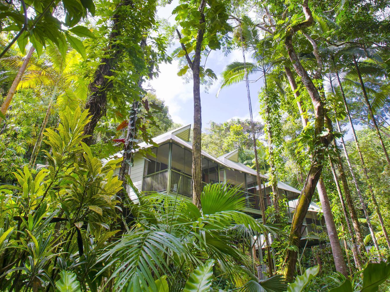 Daintree Ecolodge Exterior foto