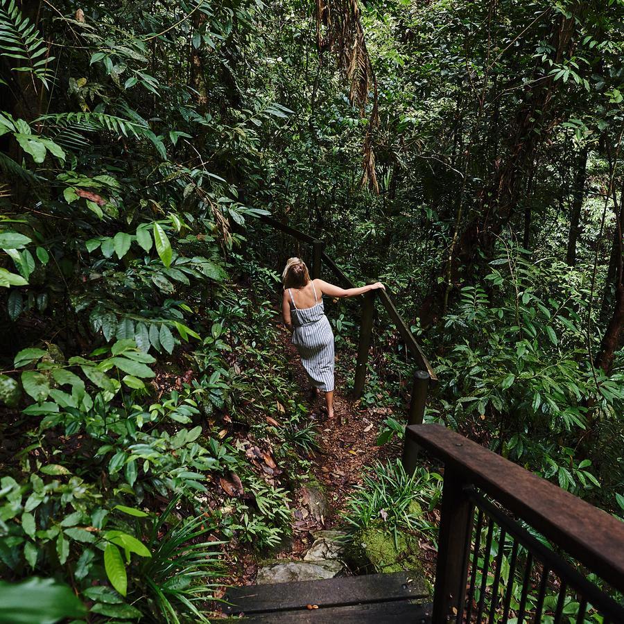 Daintree Ecolodge Exterior foto