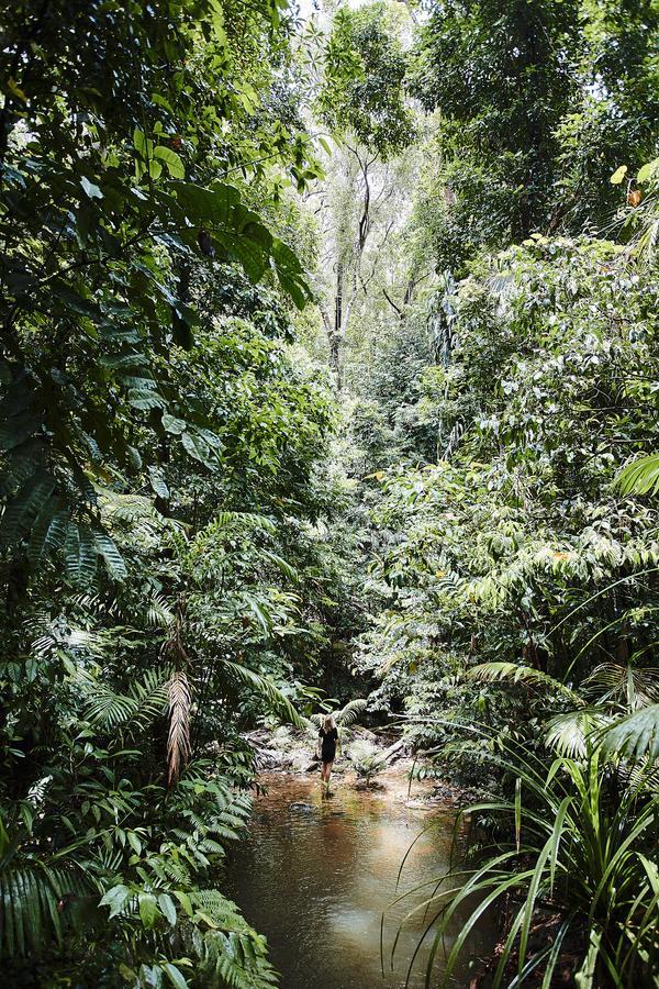 Daintree Ecolodge Exterior foto