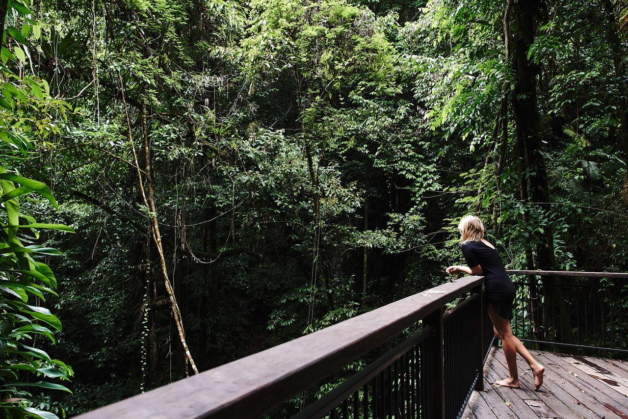 Daintree Ecolodge Exterior foto