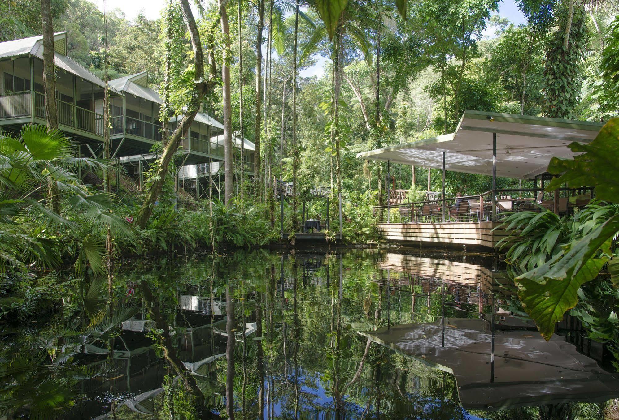 Daintree Ecolodge Exterior foto