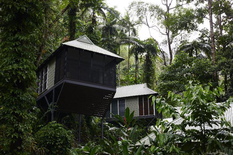 Daintree Ecolodge Exterior foto