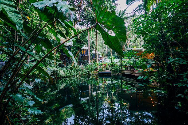 Daintree Ecolodge Exterior foto