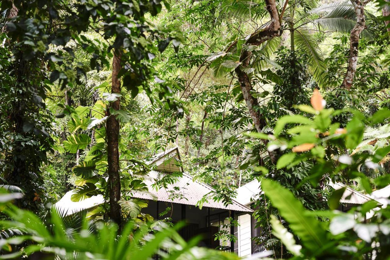 Daintree Ecolodge Exterior foto