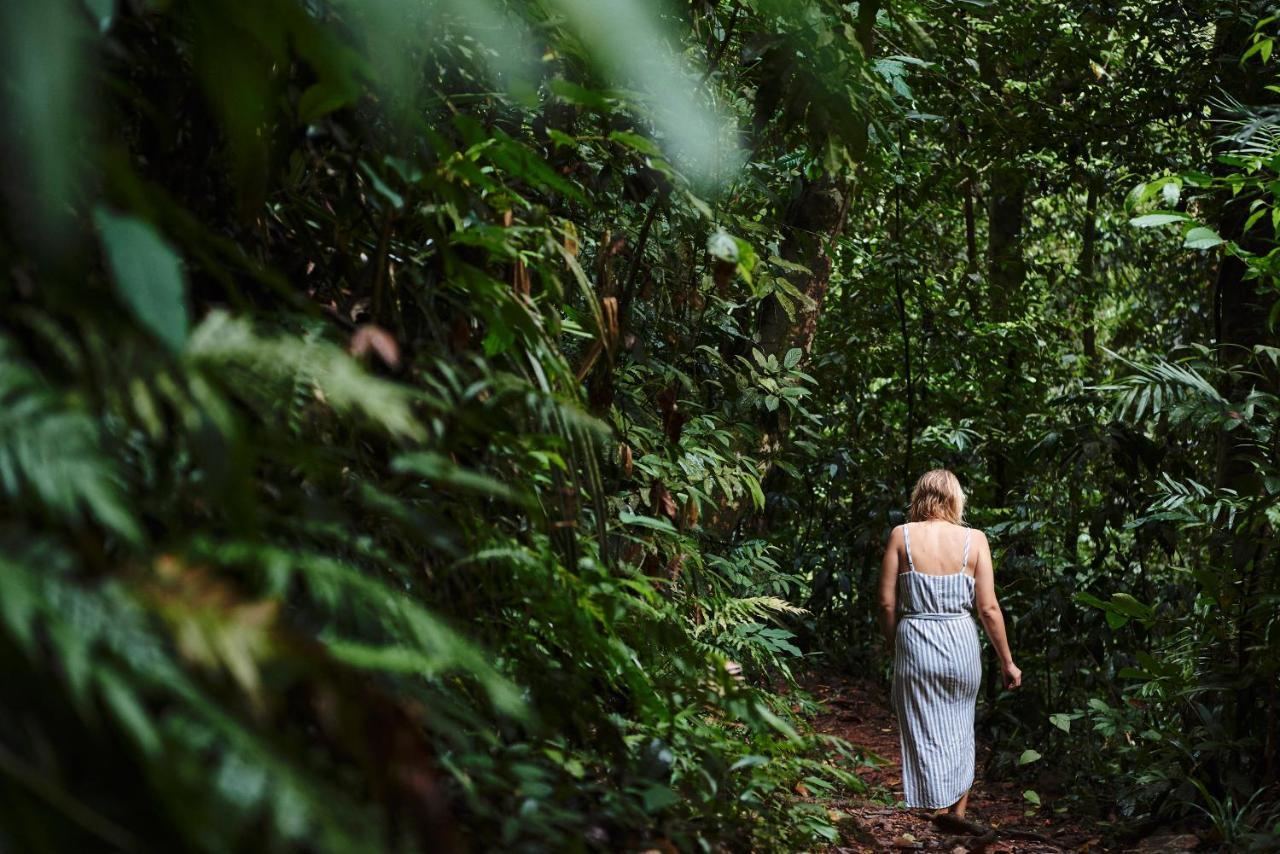 Daintree Ecolodge Exterior foto